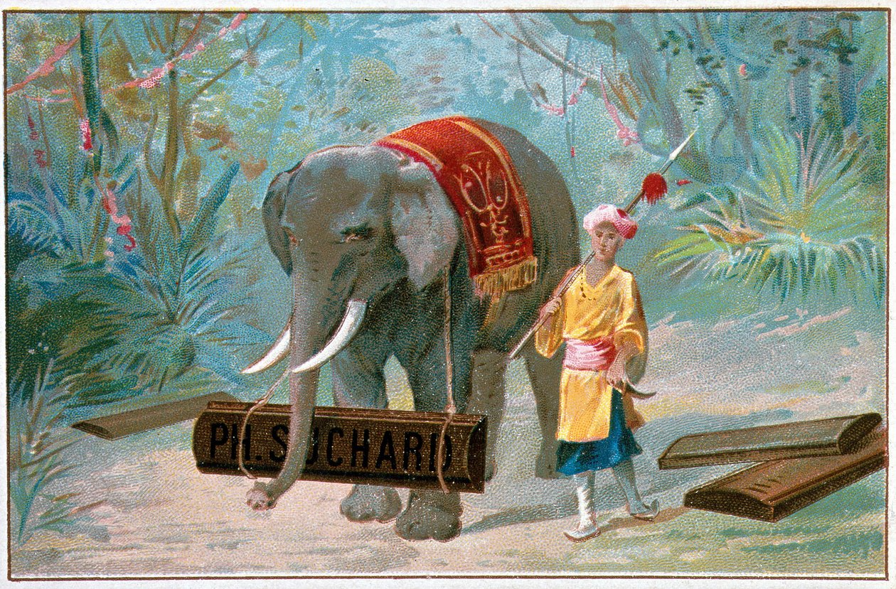 Elephant ve Cornac, "" Suchard"ın reklamı, v. 1895 by Unknown artist