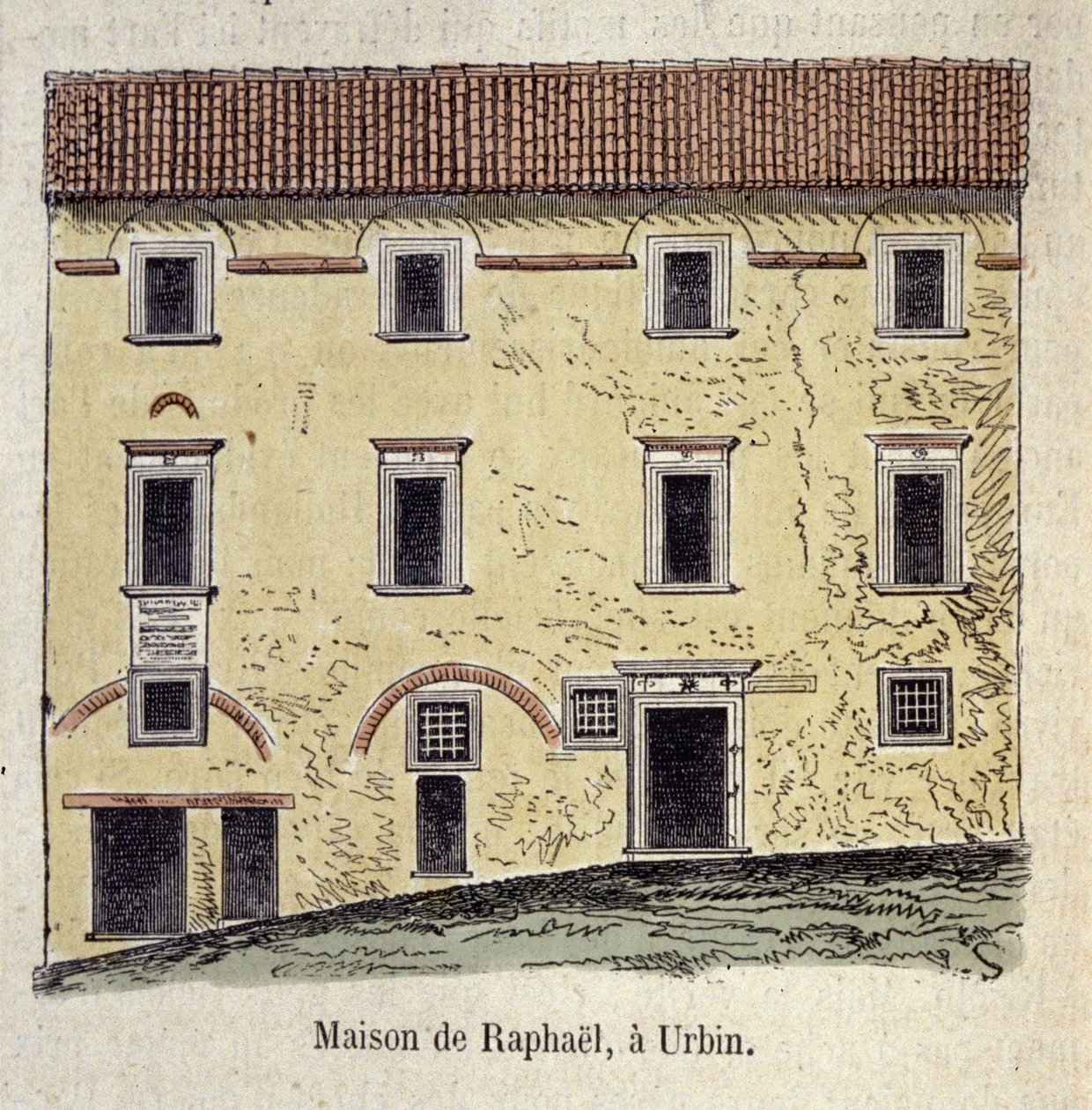 Ressam Raffaello Santi