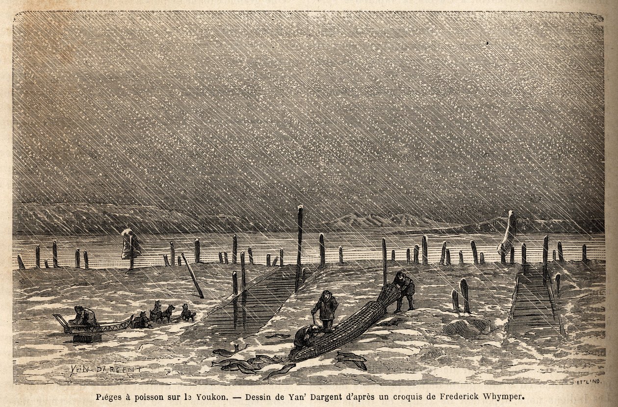 Yukon Nehri (aşırı kuzey Kanada) kıyılarına yerleştirilmiş balık tuzakları. Frederick Whymper tarafından İngiliz Kolombiyası, Vancouver Adası ve Alaska