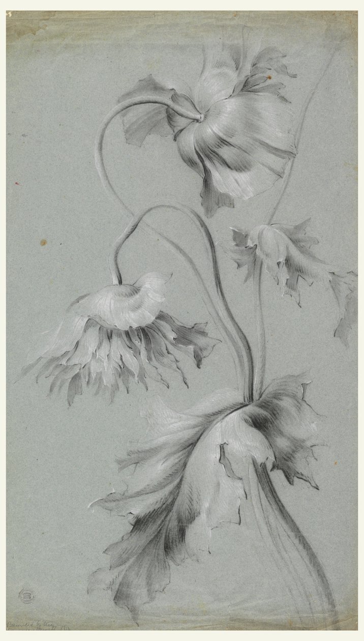 çiçek tasarımı by Unknown artist