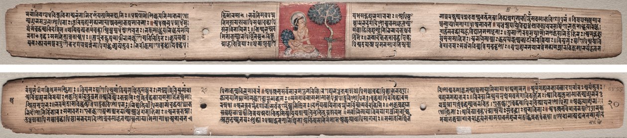 Folio 20, bir Gandavyuha-sutra