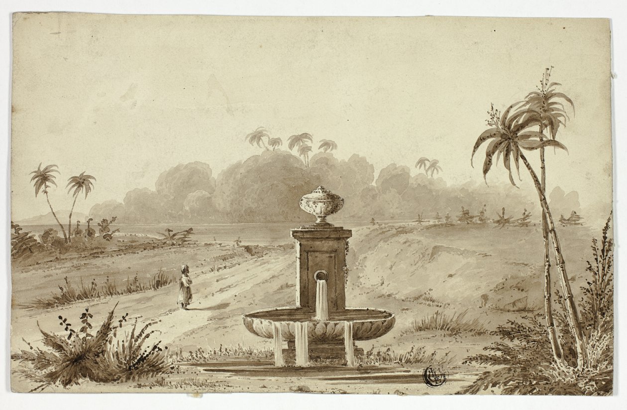 Oasis