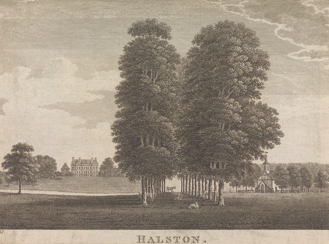 Halston; sayfa 22 (İkinci Cilt) by Unknown artist
