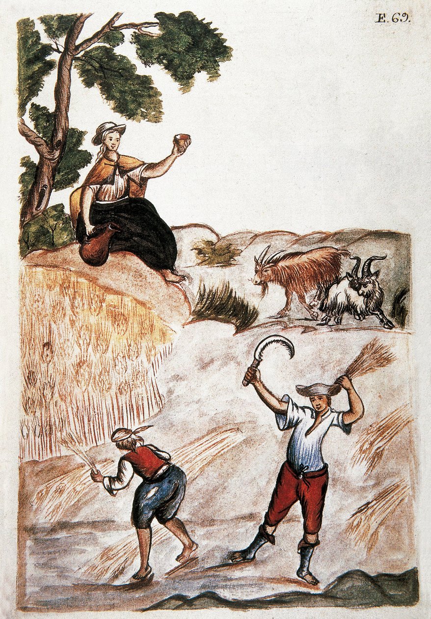 Hasatlar, tarlalarda çalışan Peru Kızılderilileri. 18. yüzyıl Madrid suluboya. Biblioteca del Palacio Real by Unknown artist