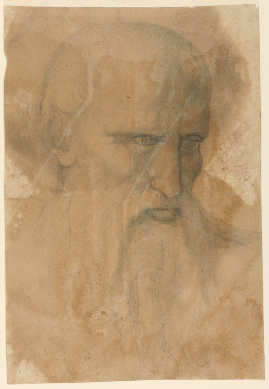 Yaşlı Sakallı Bir Adamın Başı by Unknown artist