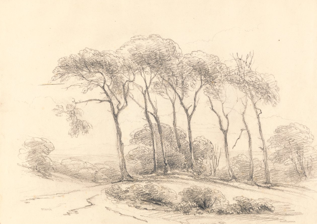 Yüksek Ağaçlar by Unknown artist