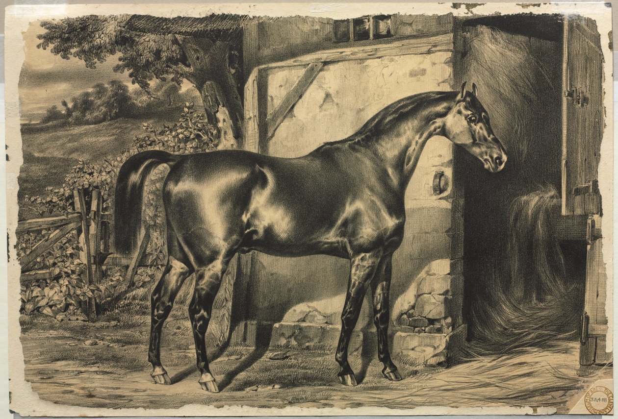 Ahırın Önünde At (verso) by Unknown artist