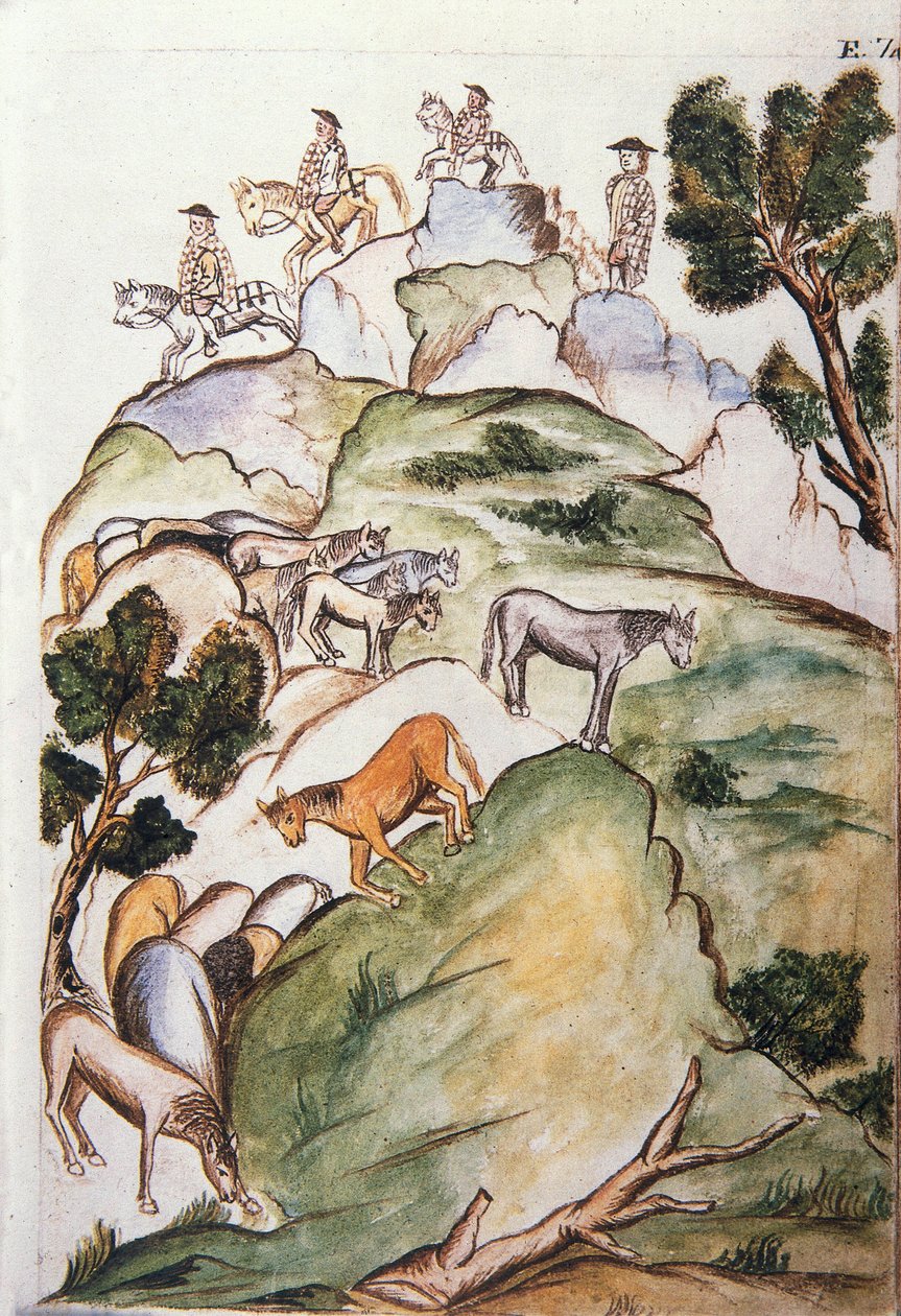 At bakıcıları, Trujillo piskoposu Baltazar Martinez Compañón y Bujanda'nın (1782-1785) yazdığı "Trujillo del Peru" veya "Códice Martínez Compañón" kitabından, onları yakalamak için dağlarda denizleri çevrelerler. by Unknown artist