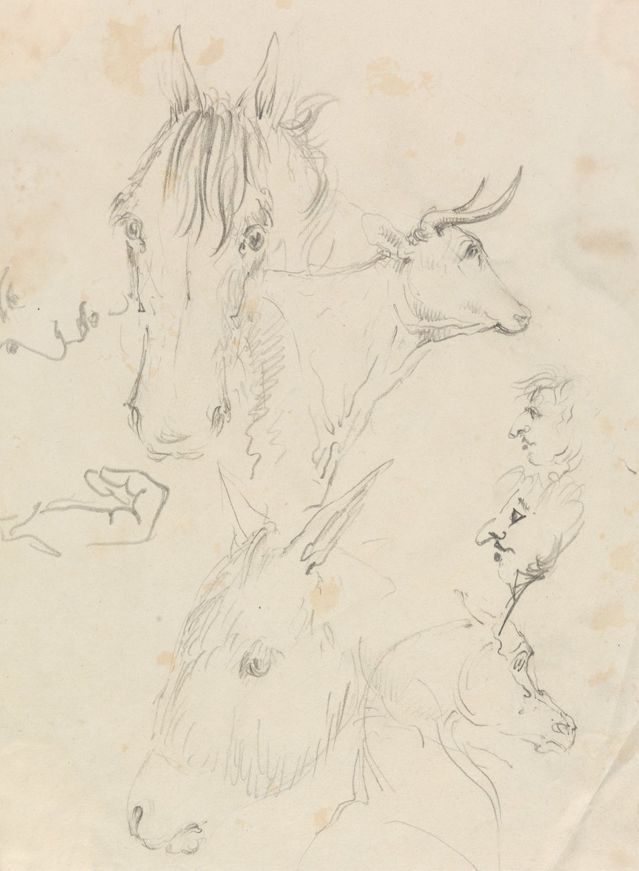 Atlar, İnekler ve İnsanlar by Unknown artist