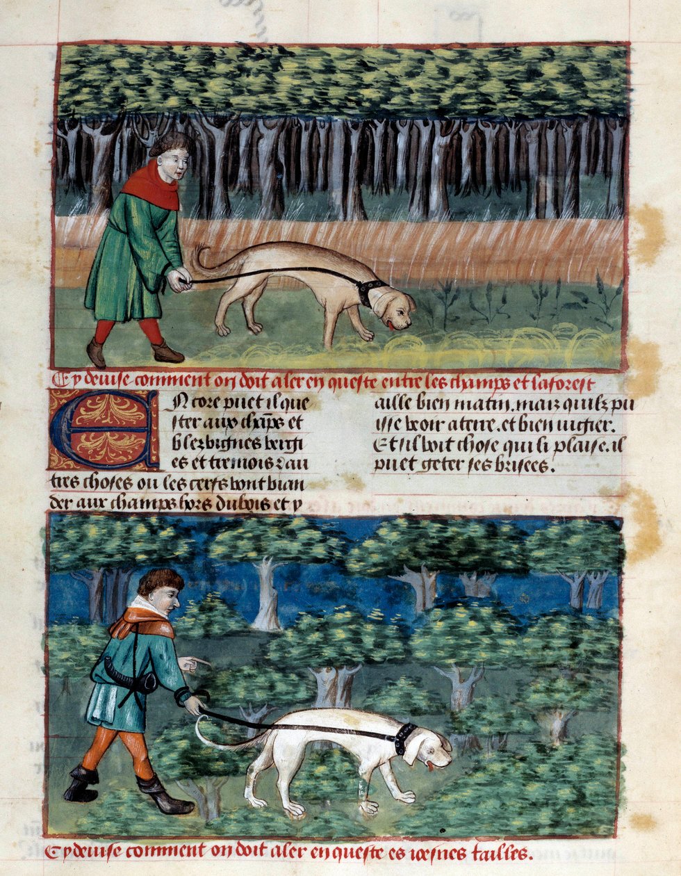 Köpekler nasıl yönetilir? Minyatür, Gaston III Phoebus, Count of Foix, Lord of Bearn (1331-1391) tarafından "Avlanma kitabı"ndan alınmıştır. by Unknown artist