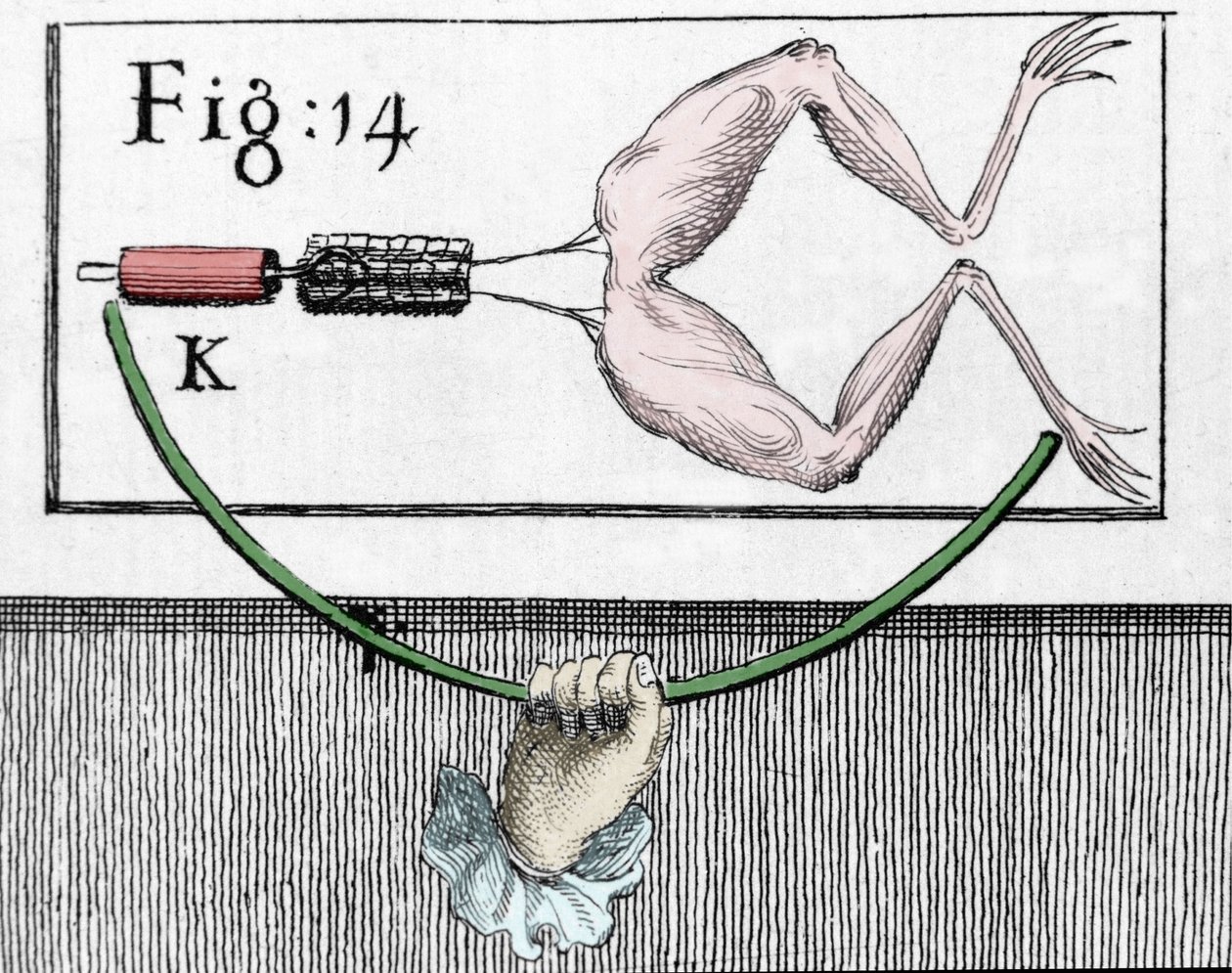 İtalyan fizikçi ve doktor Luigi Galvani