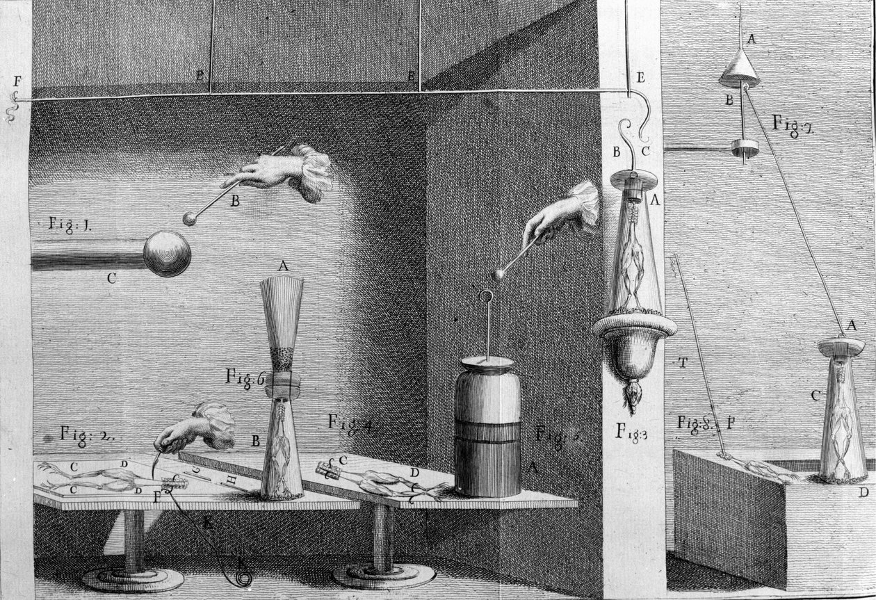 İtalyan fizikçi ve doktor Luigi Galvani
