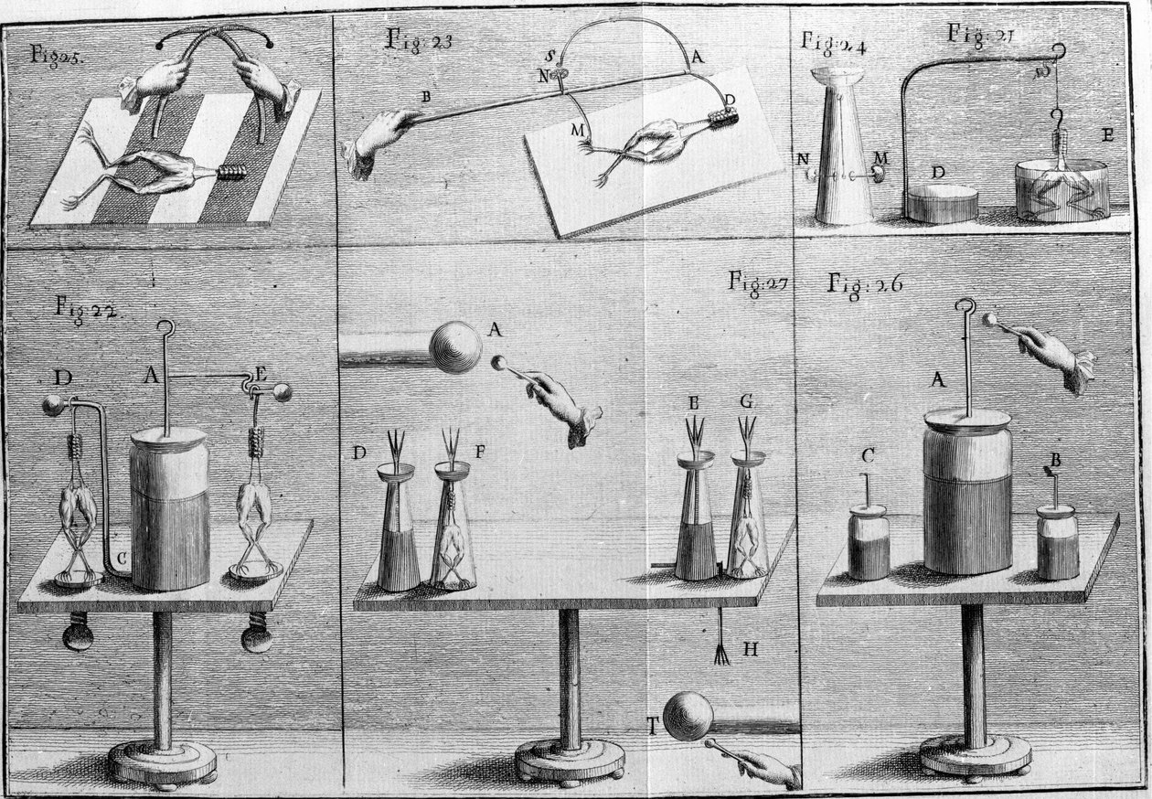 İtalyan fizikçi ve doktor Luigi Galvani