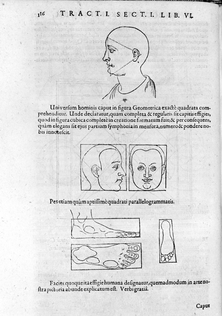 Robert Fludd (Robertus de Waves) tarafından "Collectio Operum"dan fizyonominin görüntüsü. Londra 1617. by Unknown artist