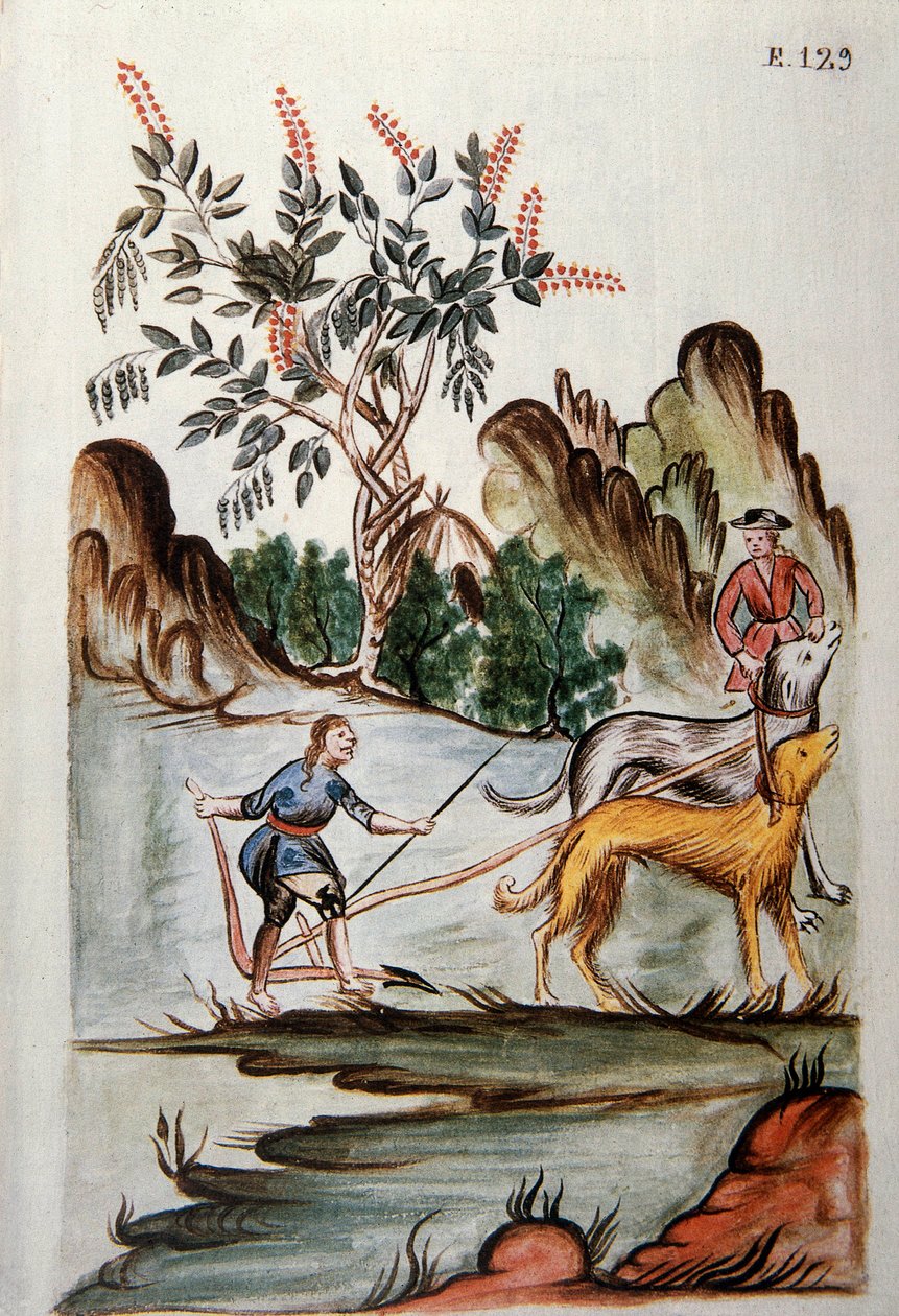 Baltazar Martinez Compañón y Bujanda, Trujillo piskoposu (1782-1785) tarafından yazılan "Trujillo del Peru" veya "Códice Martínez Compañón" kitabından köpeklerle tarla süren Kızılderililer by Unknown artist