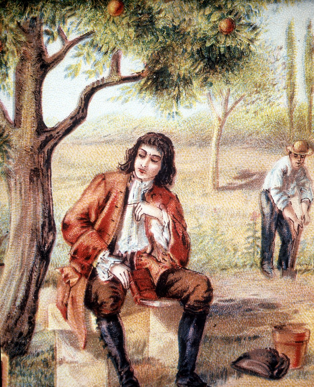 İngiliz matematikçi, fizikçi ve astronom Isaac Newton (1642-1727), 19. yüzyılın bir örneği olan bir elma ağacının düşüşünü gözlemleyerek yerçekimi teorisini bulur. by Unknown artist