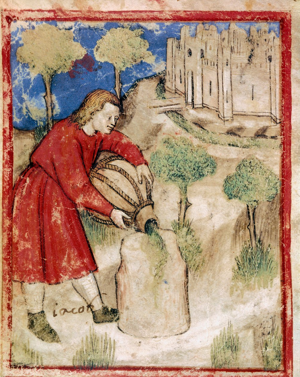 Jacob, Codex 212