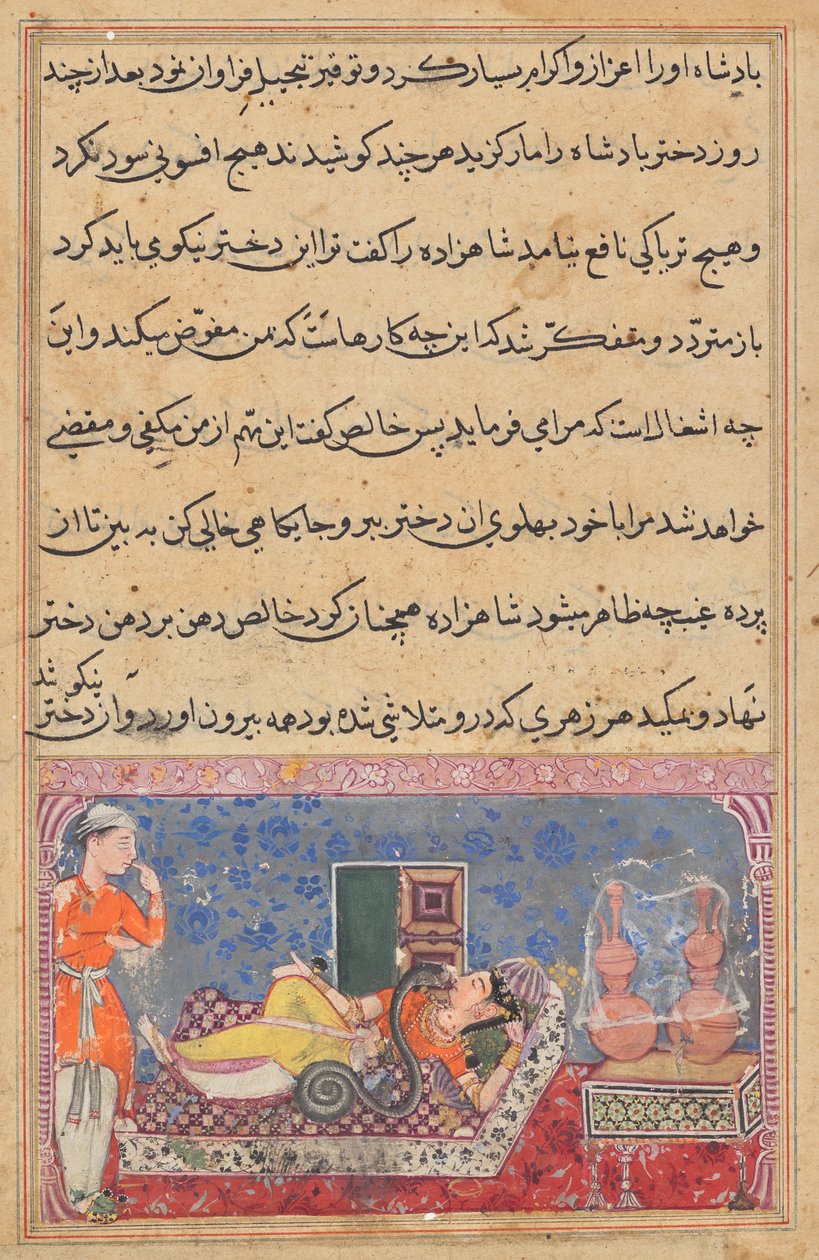 Khalis, prense nezaketini bir yılana dönüşerek ve kralın kızının zehrini Tuti-nama'dan (Bir Papağan Masalları) emerek öder: Onsekizinci Gece by Unknown artist