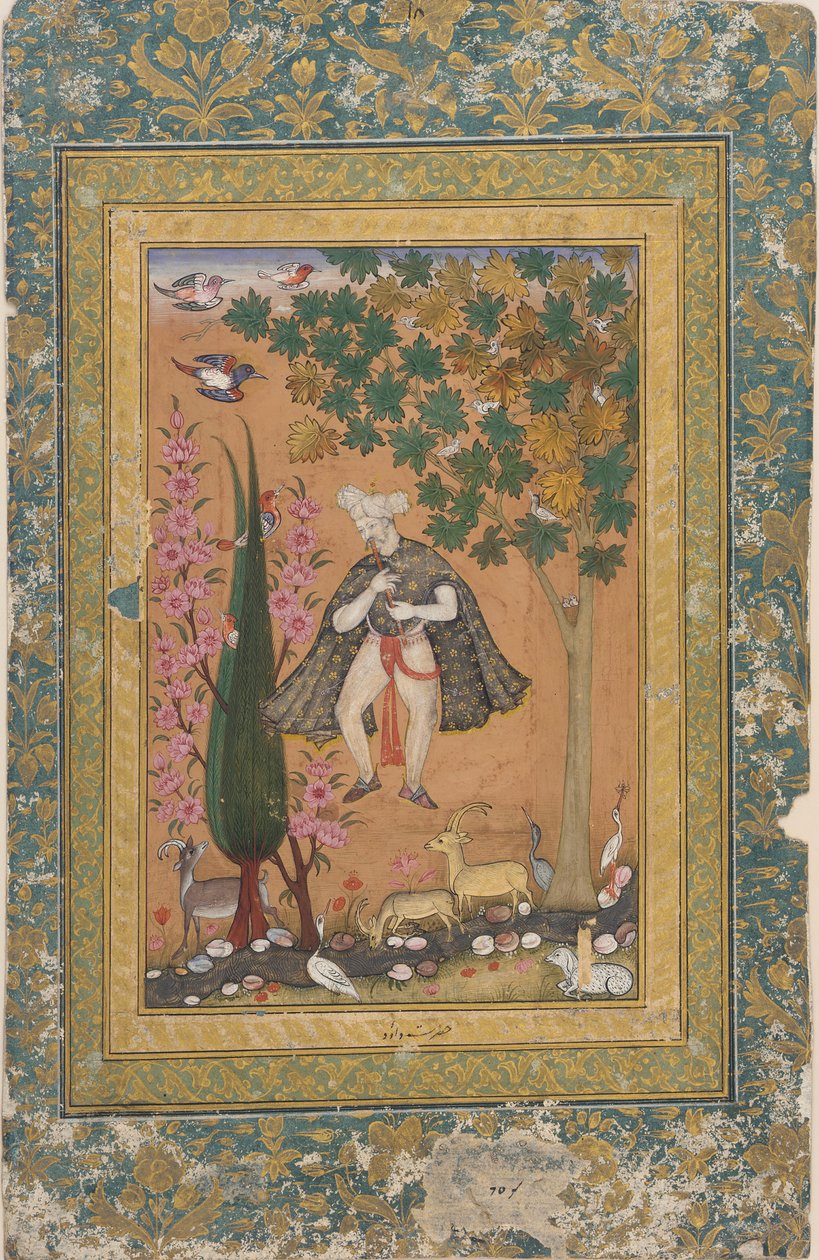 Kral David büyüleyici kuşlar ve hayvanlar by Unknown artist