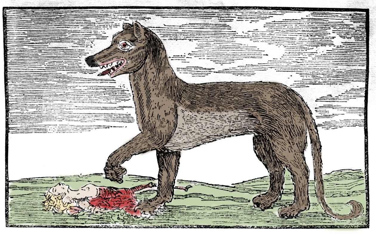 La bete du Gevaudan “Saint James