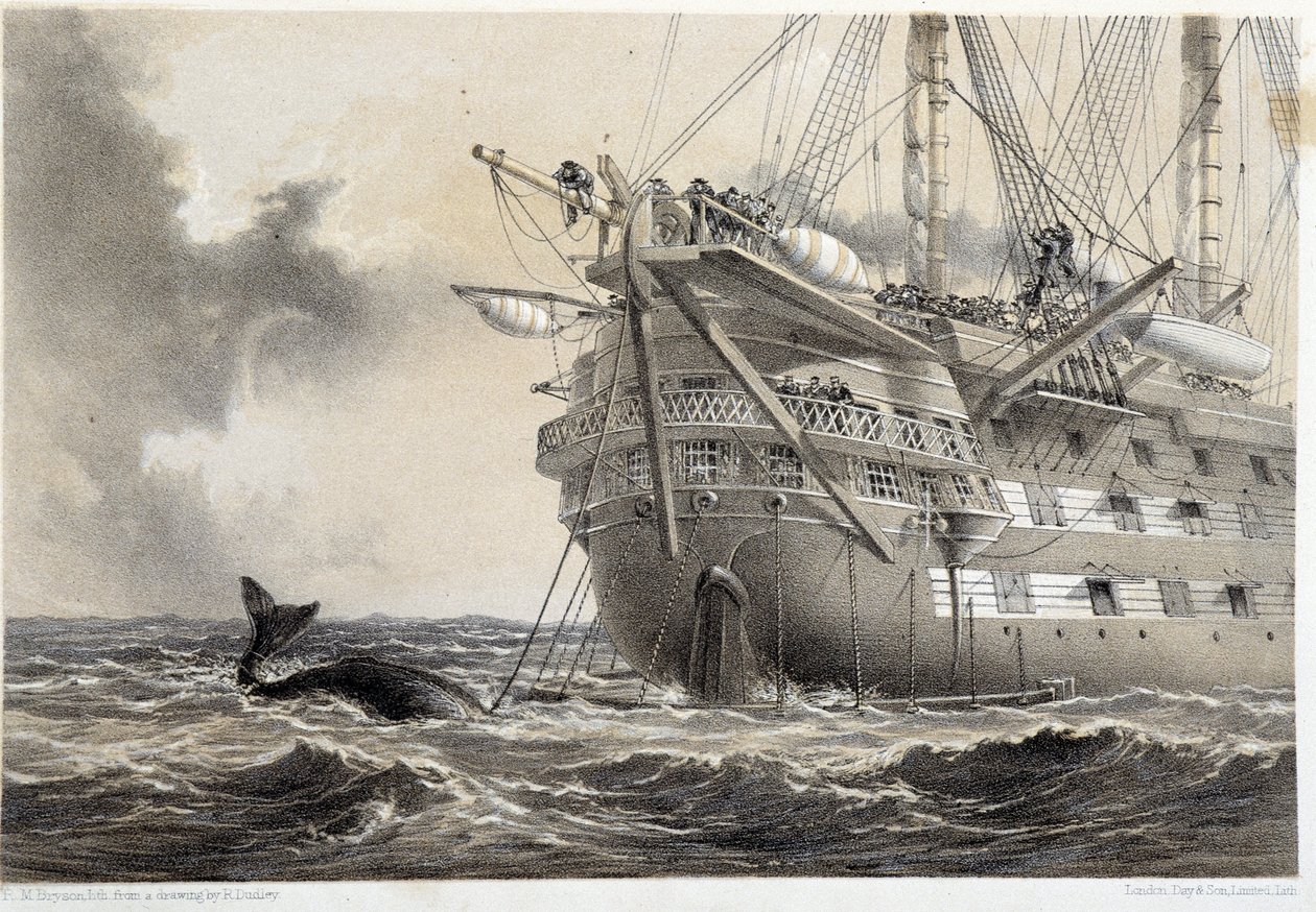 Atlantik telgraf kablosunu döşemek, teknenin etrafına bir balina by Unknown artist