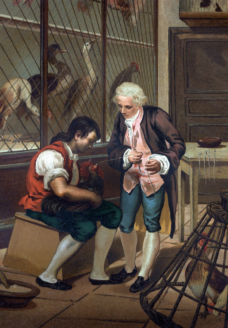Lazzaro Spallanzani (veya Spalanzani by Unknown artist