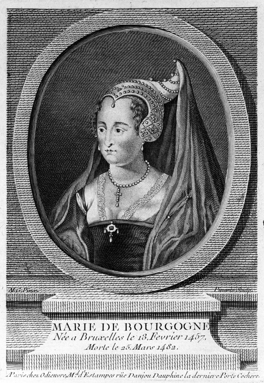 Burgundy Marie (1457 - 1482), Cesur Charles
