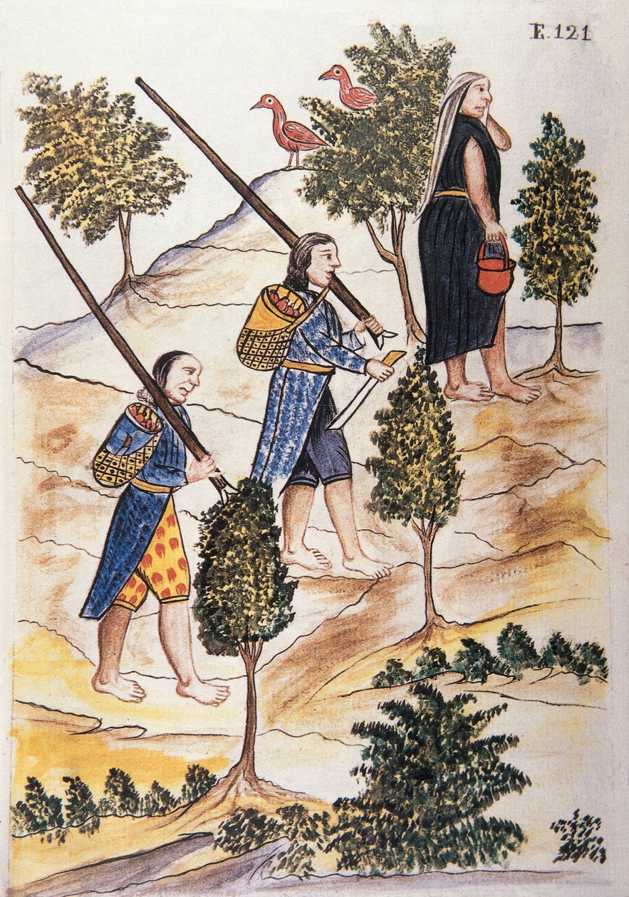 Motilones Kızılderilileri, Trujillo piskoposu Baltazar Martinez Compañón y Bujanda tarafından yazılan "Trujillo del Peru" veya "Códice Martínez Compañón" kitabından (1782-1785) by Unknown artist