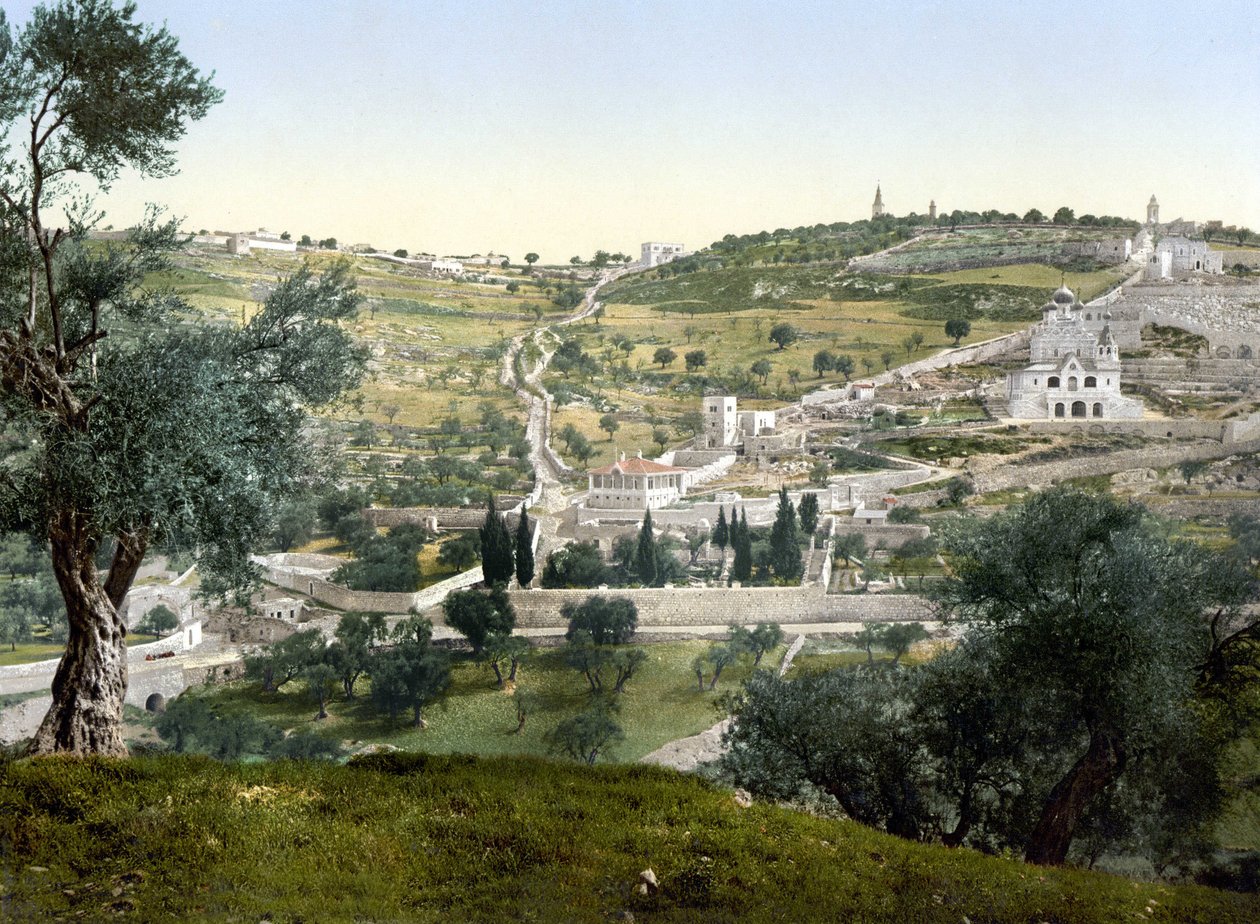 Zeytin Dağı ve Gethsemane, Kudüs. 1890-1900 arası fotokrom. by Unknown artist
