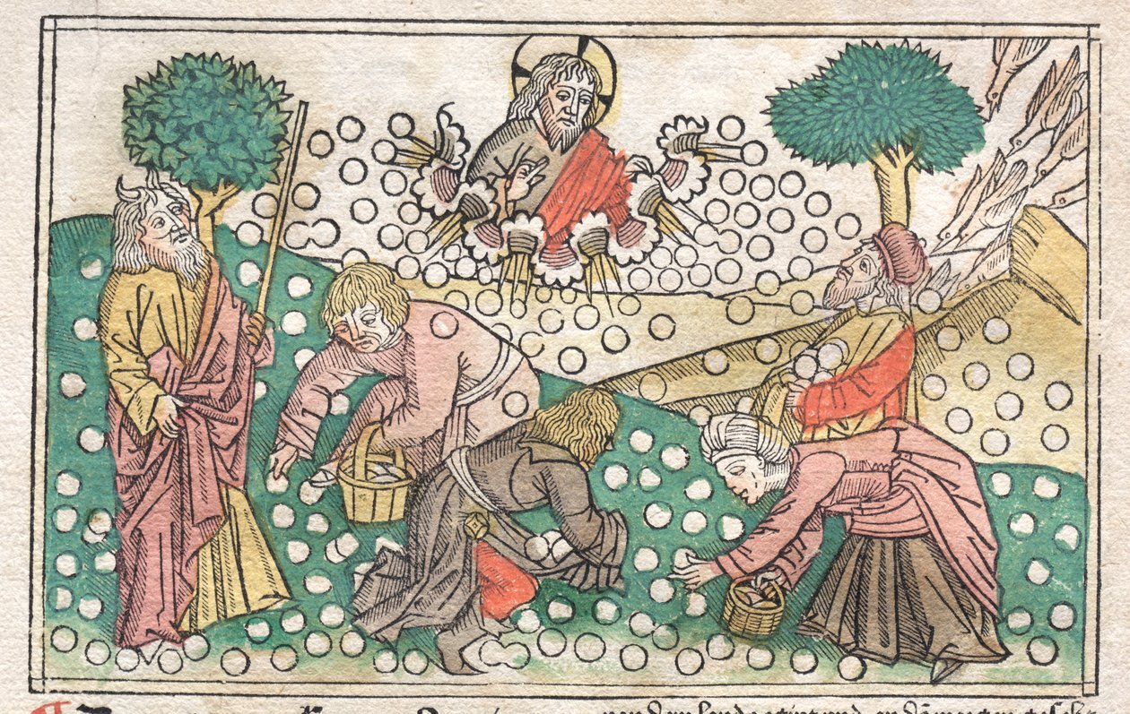 Nürnberg İncili: Cennetten Düşen Manna by Unknown artist
