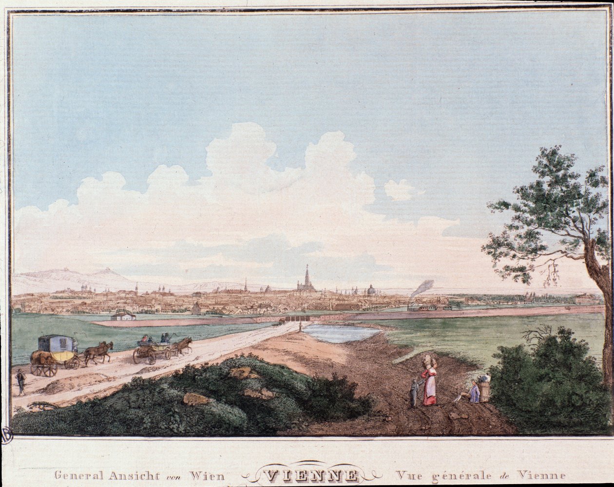 Tuna Nehri'ni geçen köprü ile Viyana şehrine genel bakış. Avusturya Gravür 1830 Özel Koleksiyonundan by Unknown artist