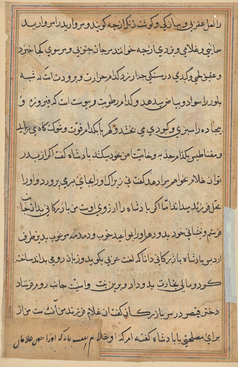 Papağan Masalları