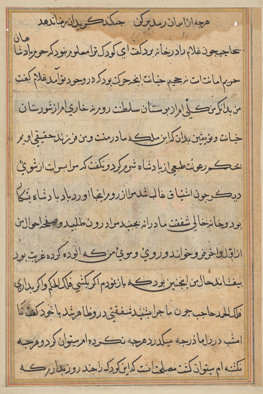 Papağan Masalları