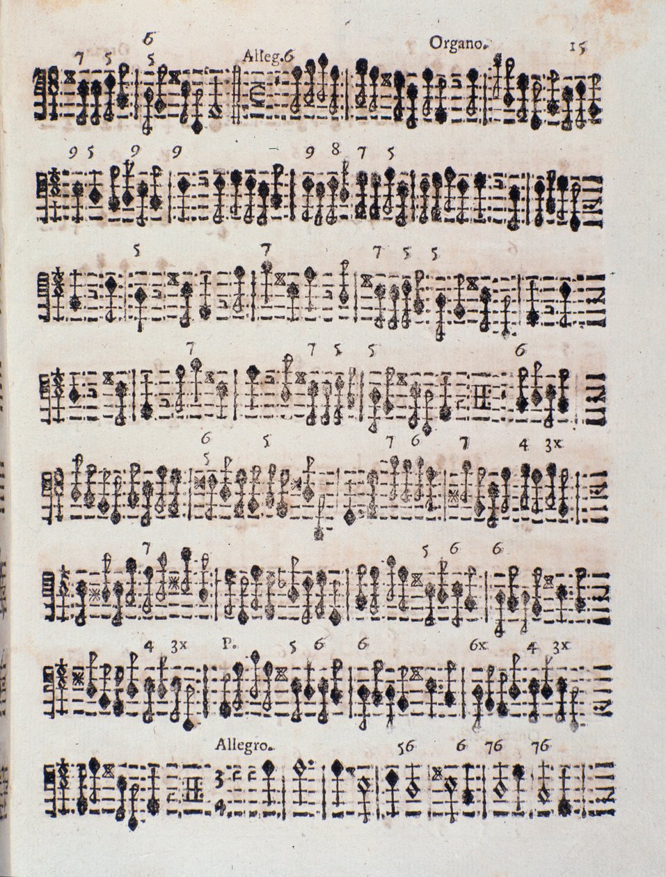 2 keman, çello ve org için Sonata