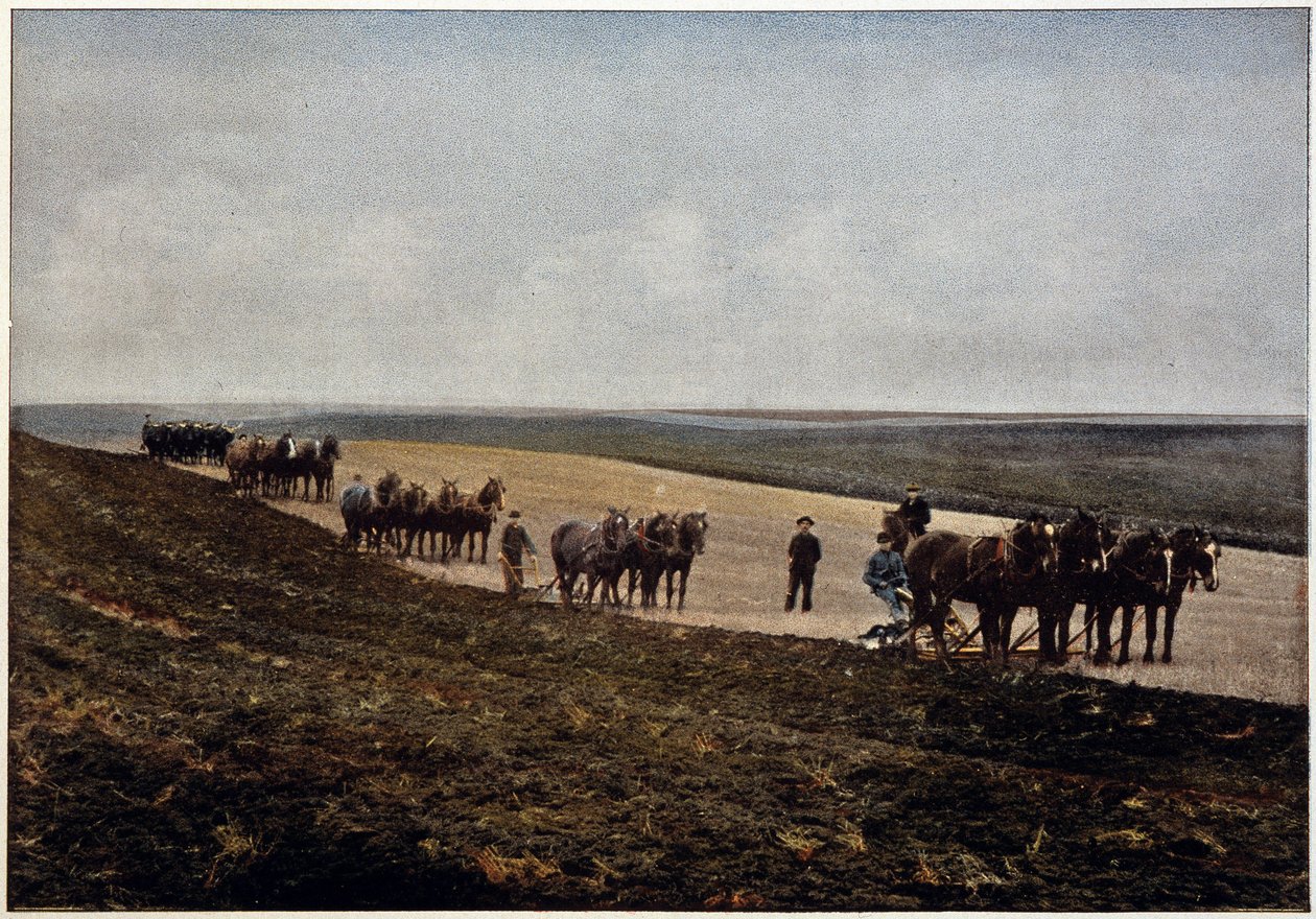 Manitoba Ovalarında (Kanada) çiftçilik, 19. yüzyılın sonlarında by Unknown artist