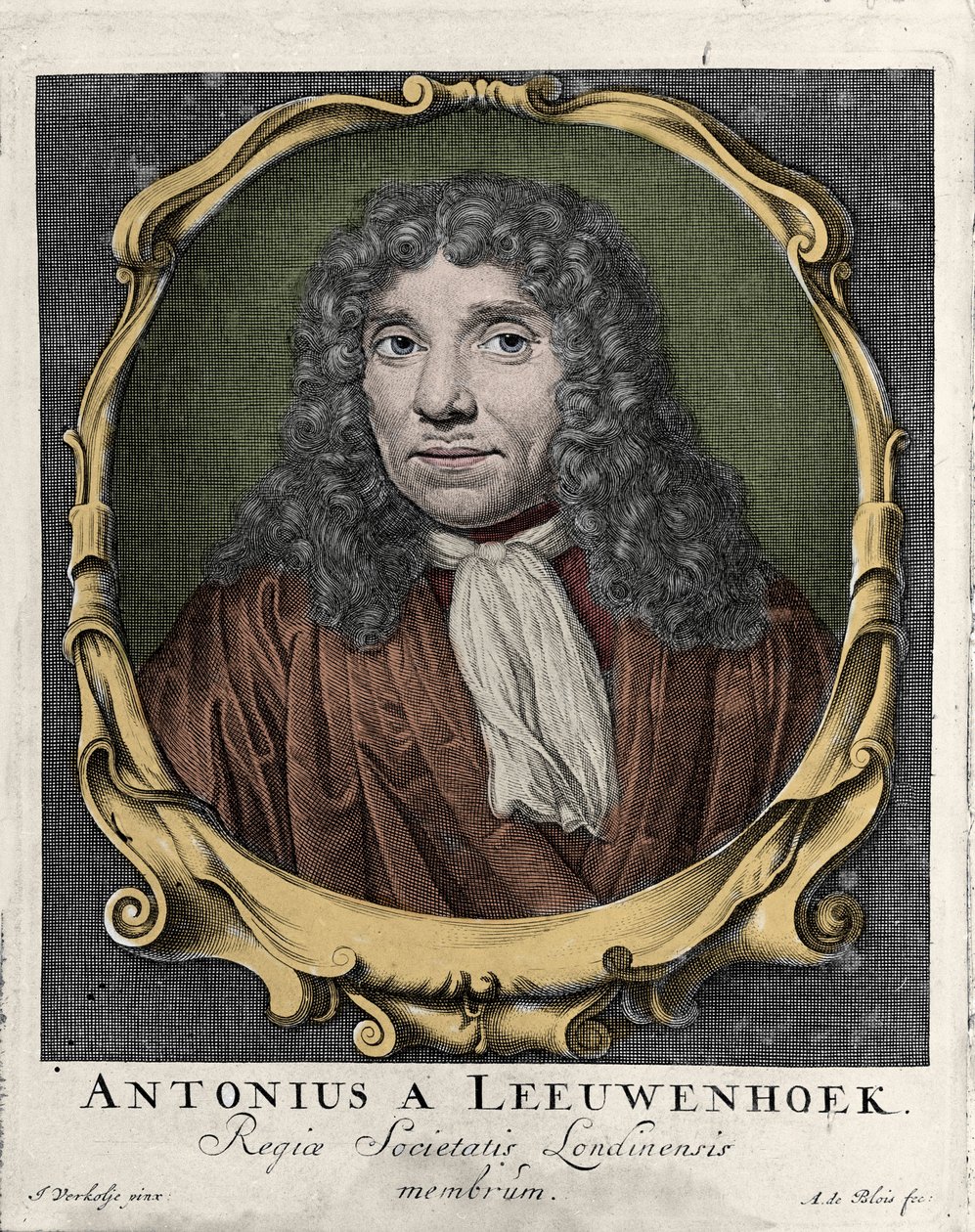 Antonie Van Leeuwenhoek veya Anton van Leeuwenhoek veya Leeuwenhoek veya Leeuwenhoeck
