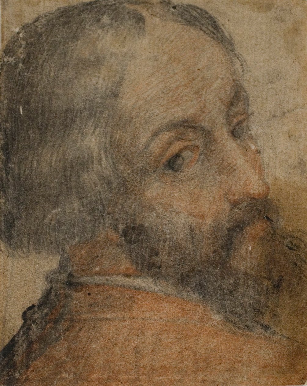 Sakallı Adam Portresi (Lodovico Ariosto) by Unknown artist