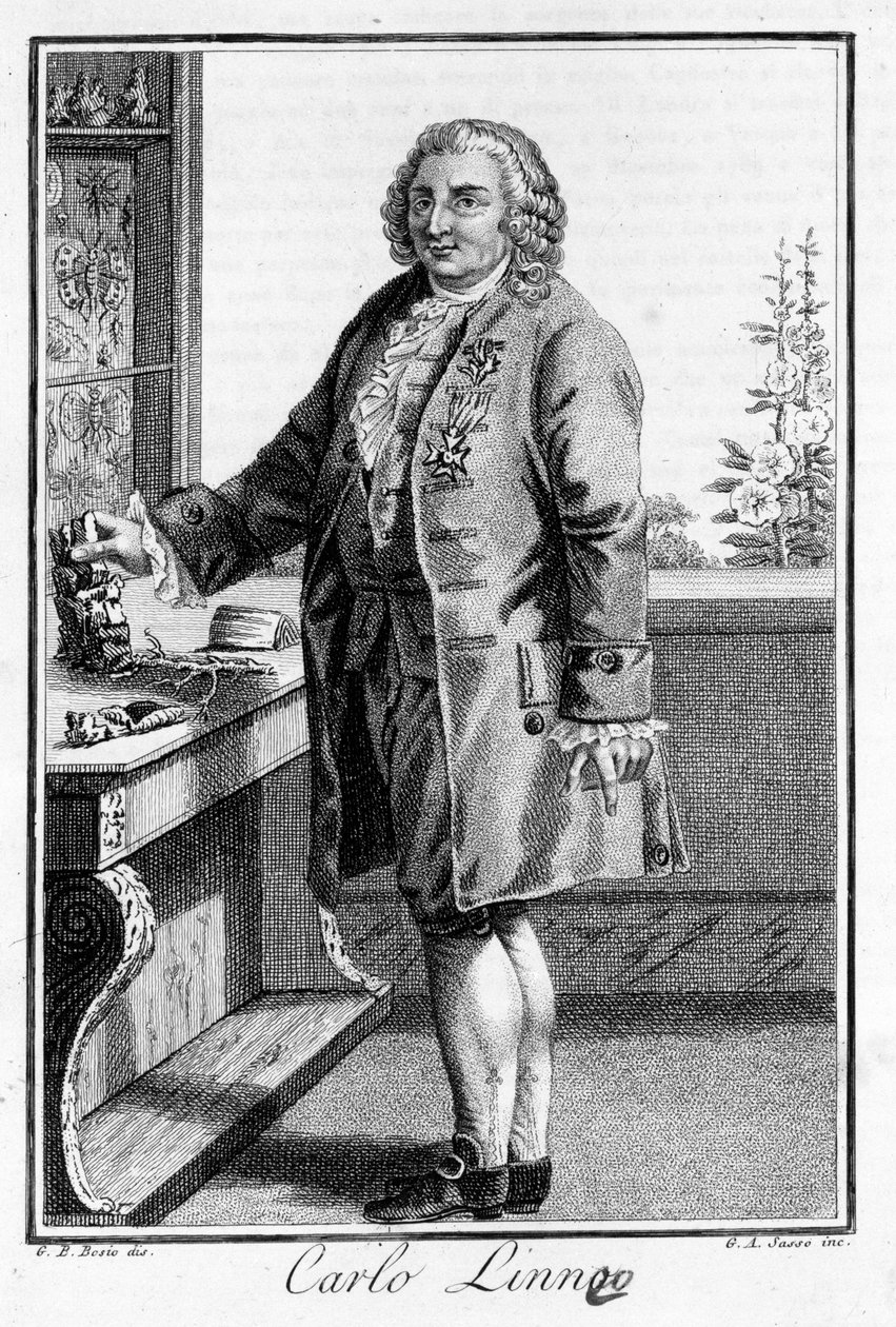 Carl Von Linné