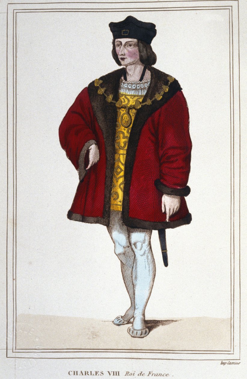 Charles VIII (1470 - 1498), Fransa Kralı