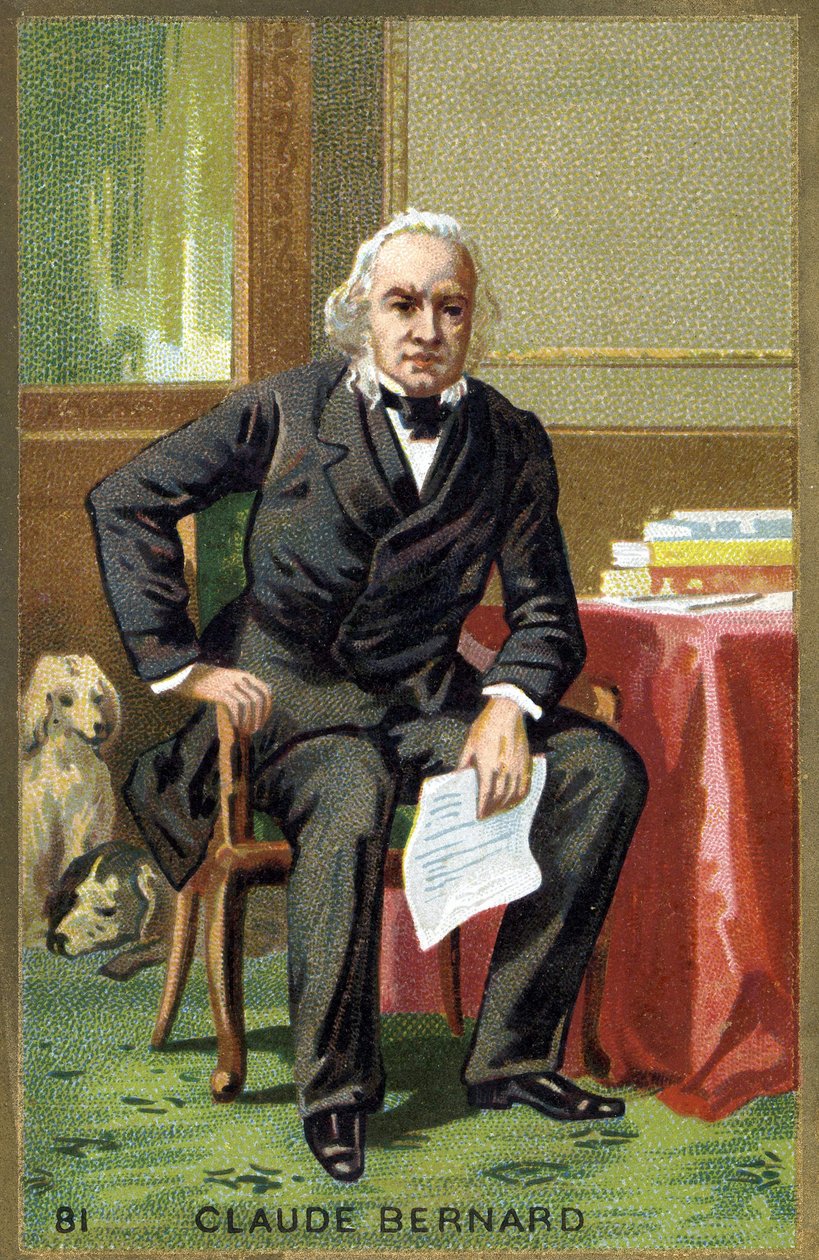 Claude Bernard (1813 - 1878), Fransız fizyolog portresi. 19. yüzyılın kromolitografisi. by Unknown artist