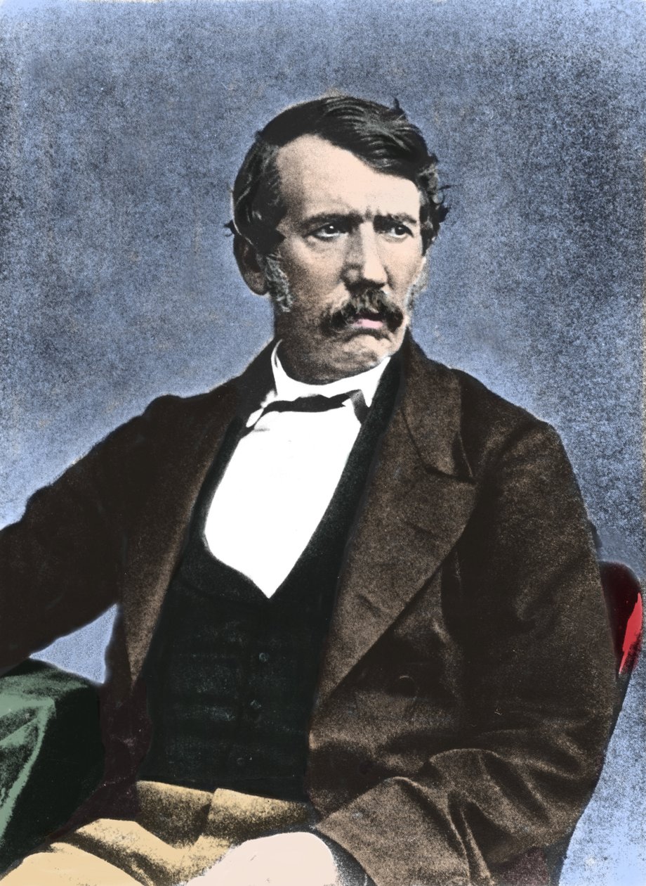 David Livingstone (1813-1873) İskoç misyoner ve kaşif portresi. by Unknown artist