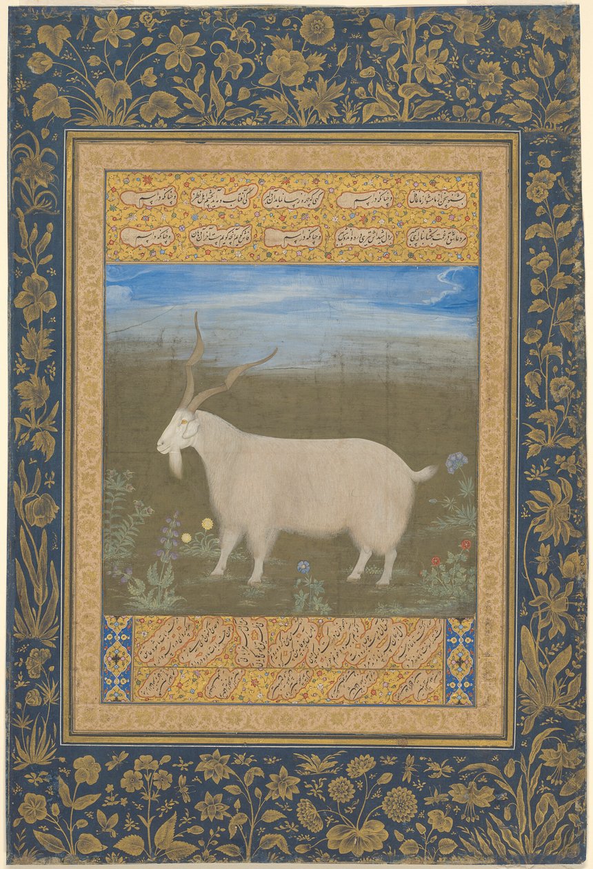 Bir Ladakhi Dağ Keçisinin Portresi by Unknown artist