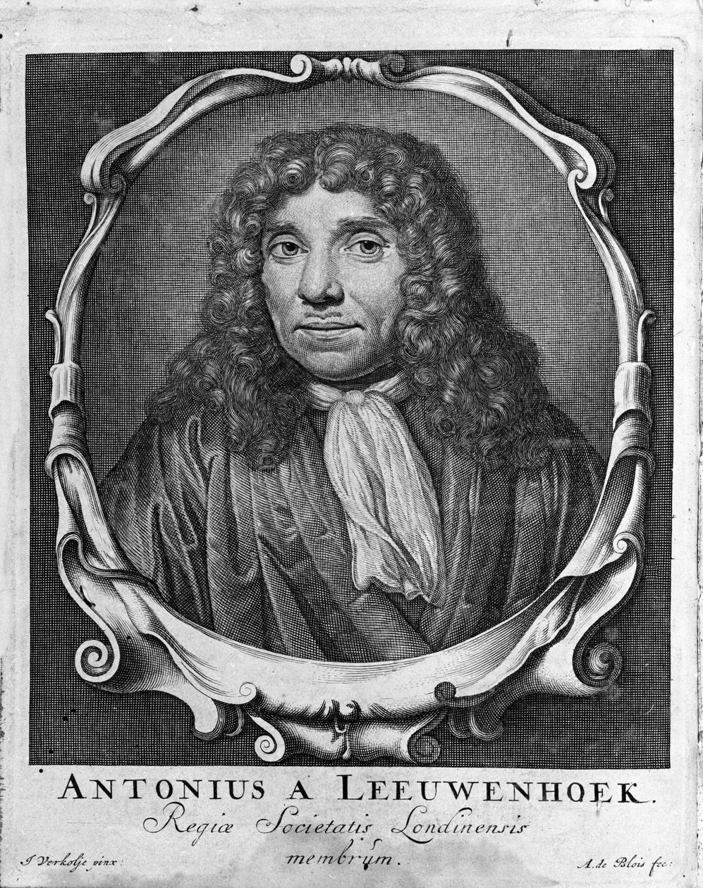 Hollandalı tüccar ve bilgin Antoine van Leeuwenhoek
