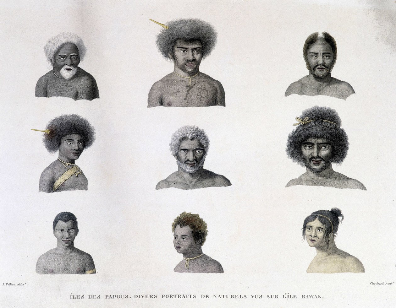 Rawak Adası