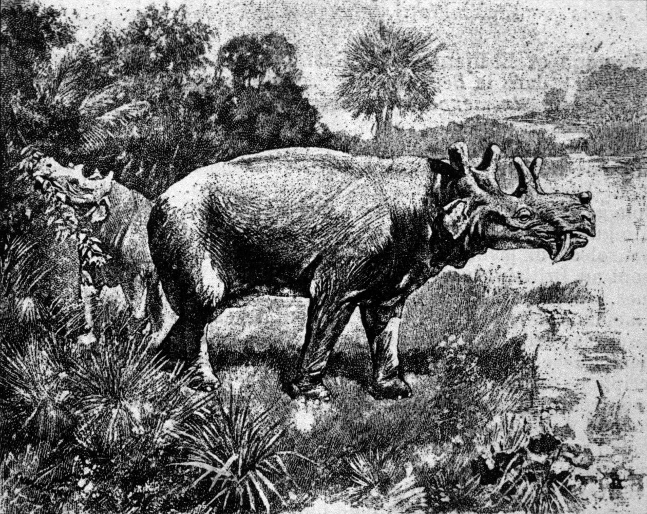 Prehistorya: Dört boynuzlu bir Uintatherium dinozorunun temsili. by Unknown artist