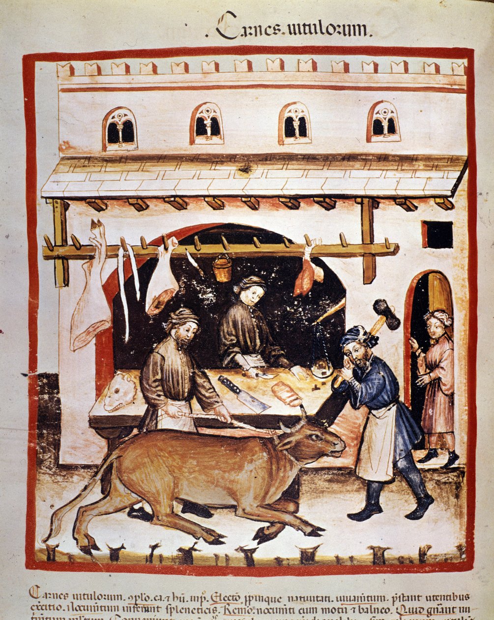 Sığır eti üretimi ve satışı (kasap): Bir sığır şaşkına döner. İlaç ve diyetetik sağımlarından aydınlatma “” Tacuinum sanitatis”” by Unknown artist