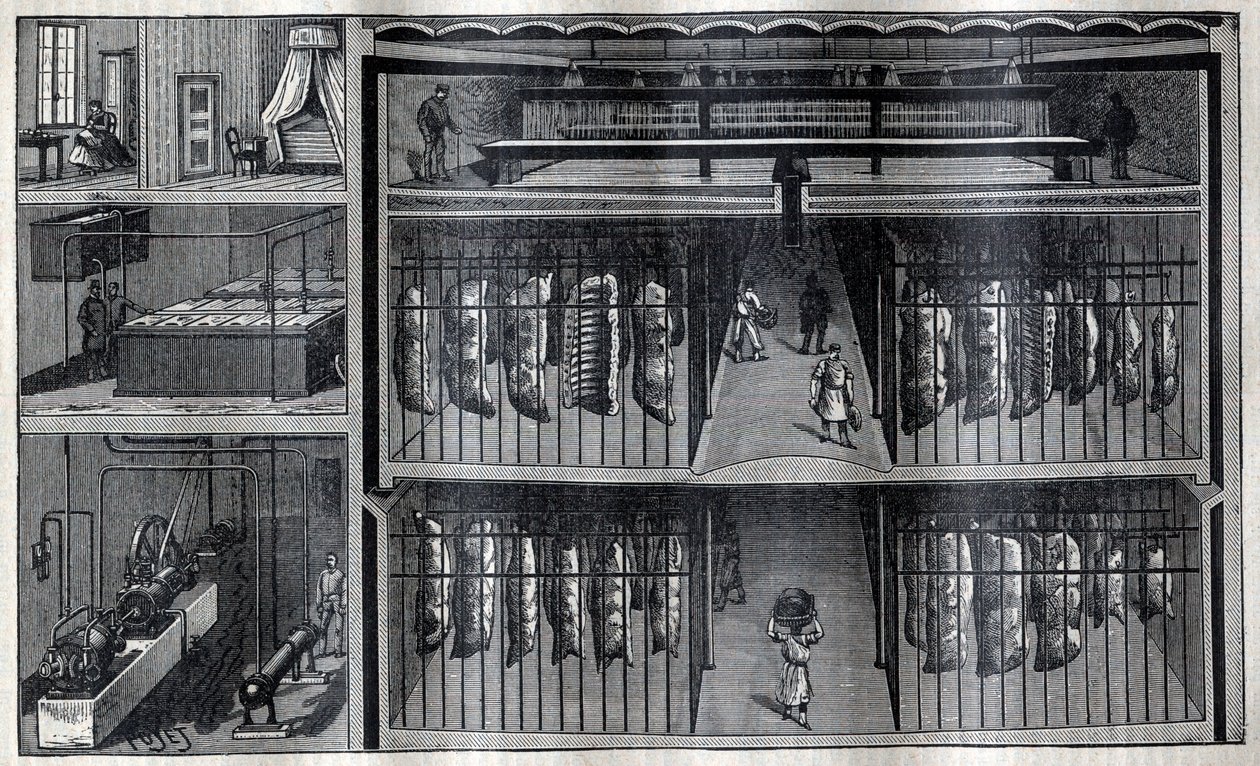 Soğutmalı et depoları - “La Science francaise”den gravür by Unknown artist