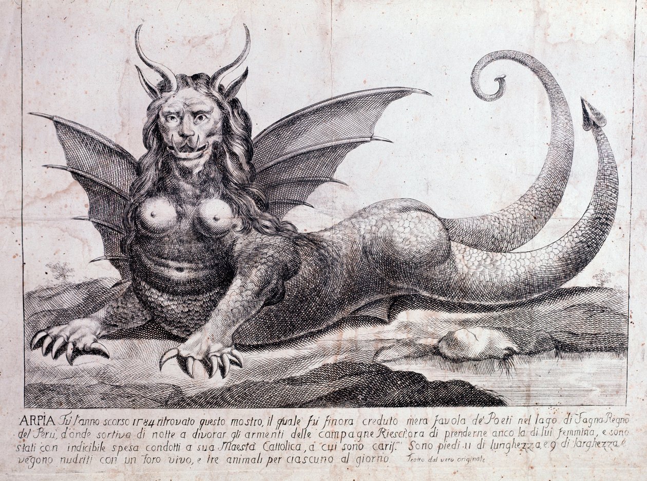 Peru gölünde bulunan bir canavar, harpy temsili: bir insan yüzü, boynuzları, ejderha kanatları, bir aslan yelesi, bir sürüngen gövdesi, bir kadının göğüsleri var (baskı 1784) by Unknown artist