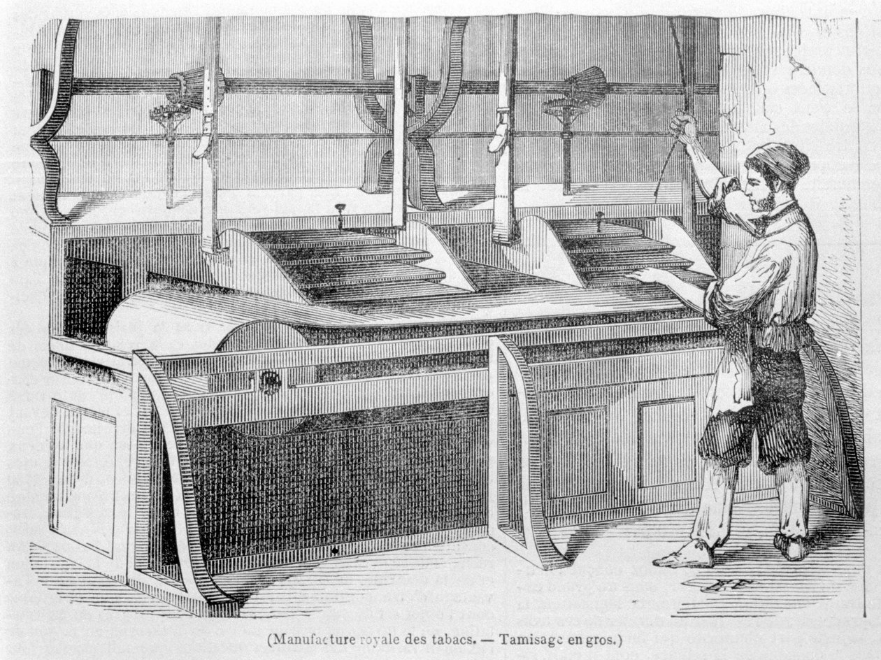 Kraliyet Tütün Fabrikası: Tütünün toptan elenmesi. 19. yüzyıl gravürü. by Unknown artist