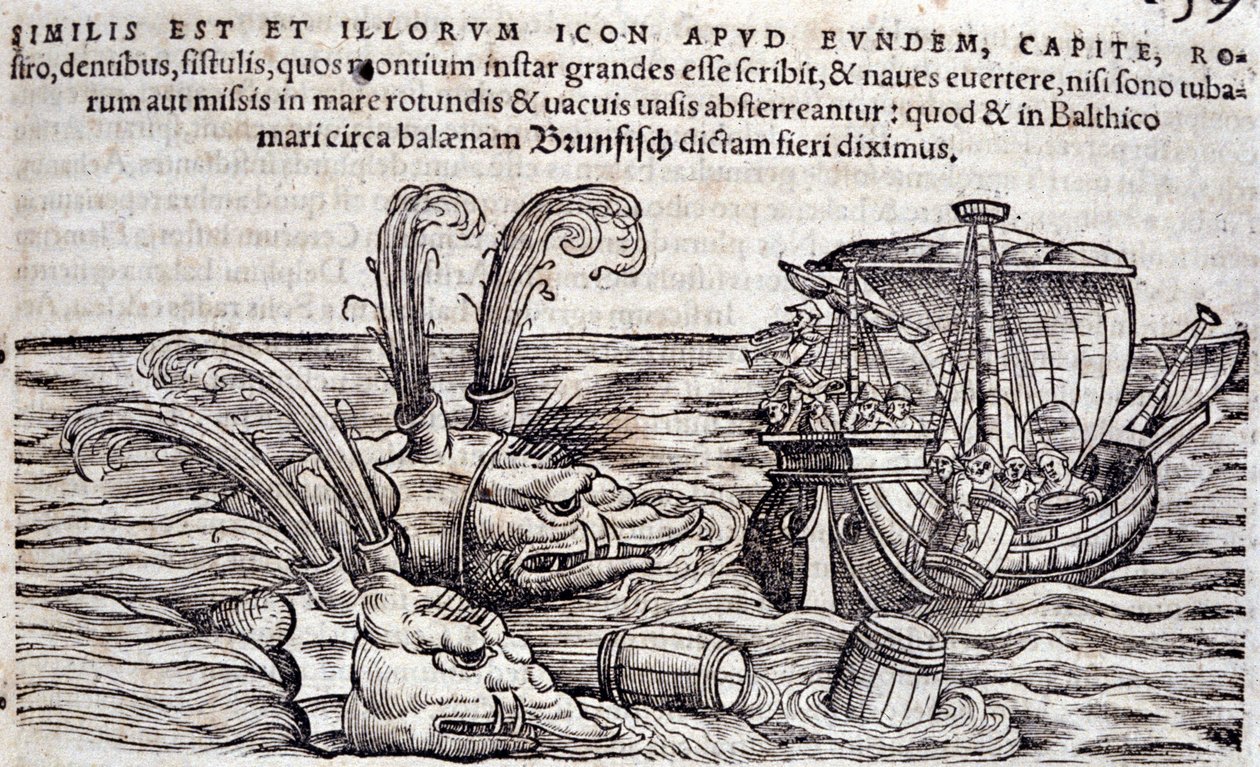 Denizciler, peşindeki canavarların dikkatini dağıtmak için denize varil atarlar. Conrad Gesner (1516-1565), Tiguri